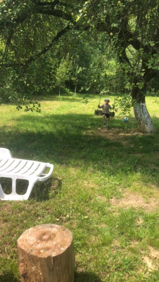 Pensiunea Felyviss Albac Exteriör bild
