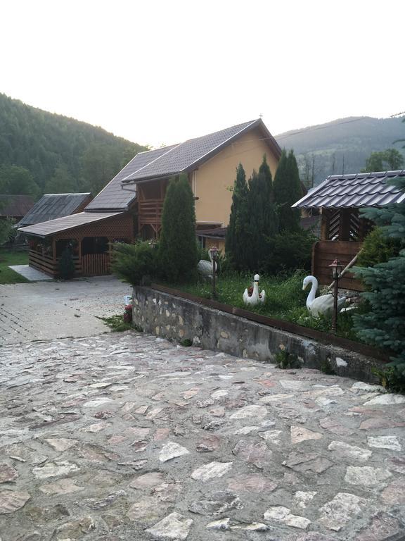 Pensiunea Felyviss Albac Exteriör bild